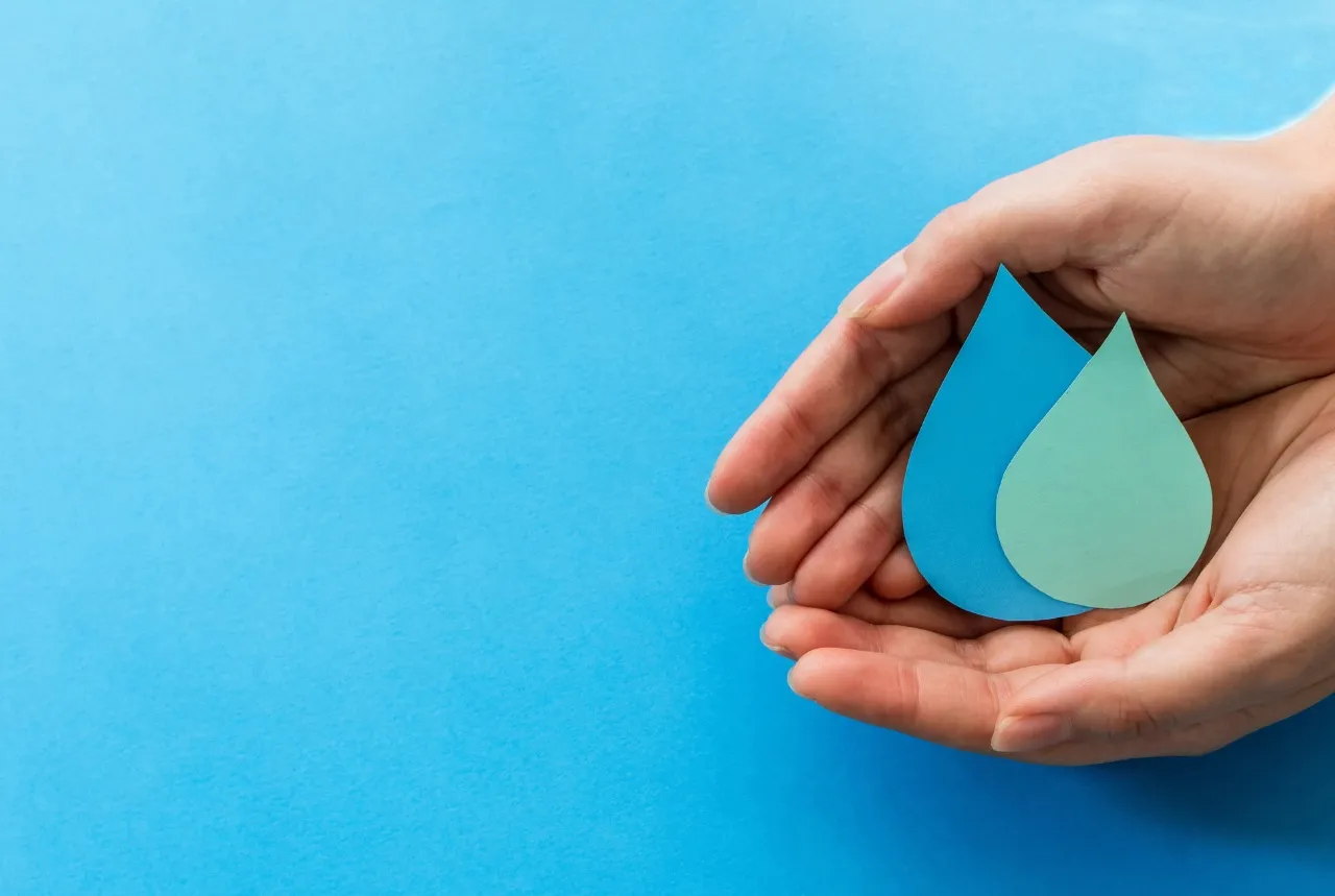 Nature Friendly Approach By New Era Adhesive & Sealants Private Limited India